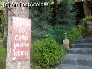 [P34] Grădina Palatului Bragadiru » foto by Mioritik
 - 
<span class="allrVoted glyphicon glyphicon-heart hidden" id="av1365117"></span>
<a class="m-l-10 hidden" id="sv1365117" onclick="voting_Foto_DelVot(,1365117,3511)" role="button">șterge vot <span class="glyphicon glyphicon-remove"></span></a>
<a id="v91365117" class=" c-red"  onclick="voting_Foto_SetVot(1365117)" role="button"><span class="glyphicon glyphicon-heart-empty"></span> <b>LIKE</b> = Votează poza</a> <img class="hidden"  id="f1365117W9" src="/imagini/loader.gif" border="0" /><span class="AjErrMes hidden" id="e1365117ErM"></span>