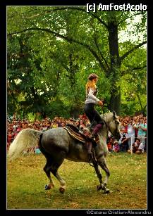 [P10] Eleganta - Parcul Tineretului » foto by private_rayen
 - 
<span class="allrVoted glyphicon glyphicon-heart hidden" id="av279571"></span>
<a class="m-l-10 hidden" id="sv279571" onclick="voting_Foto_DelVot(,279571,3511)" role="button">șterge vot <span class="glyphicon glyphicon-remove"></span></a>
<a id="v9279571" class=" c-red"  onclick="voting_Foto_SetVot(279571)" role="button"><span class="glyphicon glyphicon-heart-empty"></span> <b>LIKE</b> = Votează poza</a> <img class="hidden"  id="f279571W9" src="/imagini/loader.gif" border="0" /><span class="AjErrMes hidden" id="e279571ErM"></span>