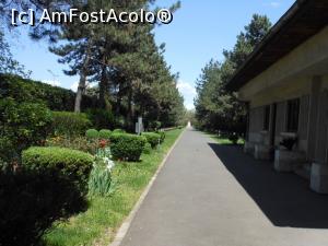 [P07] Cimitirul de onoare Pro Patria - București. Aleea de la intrare. » foto by iulianic
 - 
<span class="allrVoted glyphicon glyphicon-heart hidden" id="av1225712"></span>
<a class="m-l-10 hidden" id="sv1225712" onclick="voting_Foto_DelVot(,1225712,3511)" role="button">șterge vot <span class="glyphicon glyphicon-remove"></span></a>
<a id="v91225712" class=" c-red"  onclick="voting_Foto_SetVot(1225712)" role="button"><span class="glyphicon glyphicon-heart-empty"></span> <b>LIKE</b> = Votează poza</a> <img class="hidden"  id="f1225712W9" src="/imagini/loader.gif" border="0" /><span class="AjErrMes hidden" id="e1225712ErM"></span>