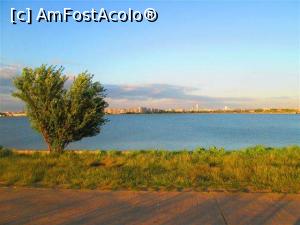 [P27]  -- <small>// FĂRĂ DESCRIERE</small> » foto by vulpe mihaela
 - 
<span class="allrVoted glyphicon glyphicon-heart hidden" id="av965029"></span>
<a class="m-l-10 hidden" id="sv965029" onclick="voting_Foto_DelVot(,965029,3511)" role="button">șterge vot <span class="glyphicon glyphicon-remove"></span></a>
<a id="v9965029" class=" c-red"  onclick="voting_Foto_SetVot(965029)" role="button"><span class="glyphicon glyphicon-heart-empty"></span> <b>LIKE</b> = Votează poza</a> <img class="hidden"  id="f965029W9" src="/imagini/loader.gif" border="0" /><span class="AjErrMes hidden" id="e965029ErM"></span>