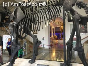 [P02] Exponat de bun venit » foto by Yersinia Pestis
 - 
<span class="allrVoted glyphicon glyphicon-heart hidden" id="av915123"></span>
<a class="m-l-10 hidden" id="sv915123" onclick="voting_Foto_DelVot(,915123,3511)" role="button">șterge vot <span class="glyphicon glyphicon-remove"></span></a>
<a id="v9915123" class=" c-red"  onclick="voting_Foto_SetVot(915123)" role="button"><span class="glyphicon glyphicon-heart-empty"></span> <b>LIKE</b> = Votează poza</a> <img class="hidden"  id="f915123W9" src="/imagini/loader.gif" border="0" /><span class="AjErrMes hidden" id="e915123ErM"></span>