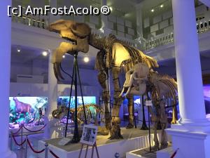 [P03] Nici mamutul asta n-a avut “add” la pagina de facebook de la Noe » foto by Yersinia Pestis
 - 
<span class="allrVoted glyphicon glyphicon-heart hidden" id="av915124"></span>
<a class="m-l-10 hidden" id="sv915124" onclick="voting_Foto_DelVot(,915124,3511)" role="button">șterge vot <span class="glyphicon glyphicon-remove"></span></a>
<a id="v9915124" class=" c-red"  onclick="voting_Foto_SetVot(915124)" role="button"><span class="glyphicon glyphicon-heart-empty"></span> <b>LIKE</b> = Votează poza</a> <img class="hidden"  id="f915124W9" src="/imagini/loader.gif" border="0" /><span class="AjErrMes hidden" id="e915124ErM"></span>