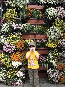 [P10] jardiniere amplasate la intrarea in Piata Constitutiei » foto by recul*
 - 
<span class="allrVoted glyphicon glyphicon-heart hidden" id="av135978"></span>
<a class="m-l-10 hidden" id="sv135978" onclick="voting_Foto_DelVot(,135978,3511)" role="button">șterge vot <span class="glyphicon glyphicon-remove"></span></a>
<a id="v9135978" class=" c-red"  onclick="voting_Foto_SetVot(135978)" role="button"><span class="glyphicon glyphicon-heart-empty"></span> <b>LIKE</b> = Votează poza</a> <img class="hidden"  id="f135978W9" src="/imagini/loader.gif" border="0" /><span class="AjErrMes hidden" id="e135978ErM"></span>