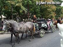 [P20] la bulivar, birjar, la bulivar... » foto by recul*
 - 
<span class="allrVoted glyphicon glyphicon-heart hidden" id="av135988"></span>
<a class="m-l-10 hidden" id="sv135988" onclick="voting_Foto_DelVot(,135988,3511)" role="button">șterge vot <span class="glyphicon glyphicon-remove"></span></a>
<a id="v9135988" class=" c-red"  onclick="voting_Foto_SetVot(135988)" role="button"><span class="glyphicon glyphicon-heart-empty"></span> <b>LIKE</b> = Votează poza</a> <img class="hidden"  id="f135988W9" src="/imagini/loader.gif" border="0" /><span class="AjErrMes hidden" id="e135988ErM"></span>