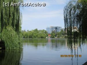 [P02] La umbra unei sălcii.  » foto by elviramvio
 - 
<span class="allrVoted glyphicon glyphicon-heart hidden" id="av996502"></span>
<a class="m-l-10 hidden" id="sv996502" onclick="voting_Foto_DelVot(,996502,3511)" role="button">șterge vot <span class="glyphicon glyphicon-remove"></span></a>
<a id="v9996502" class=" c-red"  onclick="voting_Foto_SetVot(996502)" role="button"><span class="glyphicon glyphicon-heart-empty"></span> <b>LIKE</b> = Votează poza</a> <img class="hidden"  id="f996502W9" src="/imagini/loader.gif" border="0" /><span class="AjErrMes hidden" id="e996502ErM"></span>