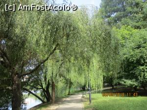 [P07] Plăcut pe malul apei, as fi stat mai mult acolo.  » foto by elviramvio
 - 
<span class="allrVoted glyphicon glyphicon-heart hidden" id="av996507"></span>
<a class="m-l-10 hidden" id="sv996507" onclick="voting_Foto_DelVot(,996507,3511)" role="button">șterge vot <span class="glyphicon glyphicon-remove"></span></a>
<a id="v9996507" class=" c-red"  onclick="voting_Foto_SetVot(996507)" role="button"><span class="glyphicon glyphicon-heart-empty"></span> <b>LIKE</b> = Votează poza</a> <img class="hidden"  id="f996507W9" src="/imagini/loader.gif" border="0" /><span class="AjErrMes hidden" id="e996507ErM"></span>