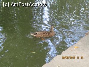 [P08] Agitată rău, abia am prins un cadru.  » foto by elviramvio
 - 
<span class="allrVoted glyphicon glyphicon-heart hidden" id="av996508"></span>
<a class="m-l-10 hidden" id="sv996508" onclick="voting_Foto_DelVot(,996508,3511)" role="button">șterge vot <span class="glyphicon glyphicon-remove"></span></a>
<a id="v9996508" class=" c-red"  onclick="voting_Foto_SetVot(996508)" role="button"><span class="glyphicon glyphicon-heart-empty"></span> <b>LIKE</b> = Votează poza</a> <img class="hidden"  id="f996508W9" src="/imagini/loader.gif" border="0" /><span class="AjErrMes hidden" id="e996508ErM"></span>