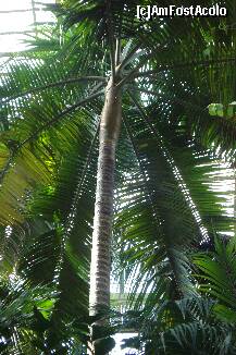 [P15]  -- <small>// FĂRĂ DESCRIERE</small> » foto by ileanaxperta*
 - 
<span class="allrVoted glyphicon glyphicon-heart hidden" id="av195538"></span>
<a class="m-l-10 hidden" id="sv195538" onclick="voting_Foto_DelVot(,195538,3511)" role="button">șterge vot <span class="glyphicon glyphicon-remove"></span></a>
<a id="v9195538" class=" c-red"  onclick="voting_Foto_SetVot(195538)" role="button"><span class="glyphicon glyphicon-heart-empty"></span> <b>LIKE</b> = Votează poza</a> <img class="hidden"  id="f195538W9" src="/imagini/loader.gif" border="0" /><span class="AjErrMes hidden" id="e195538ErM"></span>