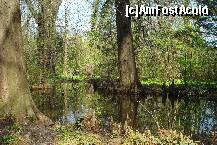 [P27]  -- <small>// FĂRĂ DESCRIERE</small> » foto by ileanaxperta*
 - 
<span class="allrVoted glyphicon glyphicon-heart hidden" id="av195550"></span>
<a class="m-l-10 hidden" id="sv195550" onclick="voting_Foto_DelVot(,195550,3511)" role="button">șterge vot <span class="glyphicon glyphicon-remove"></span></a>
<a id="v9195550" class=" c-red"  onclick="voting_Foto_SetVot(195550)" role="button"><span class="glyphicon glyphicon-heart-empty"></span> <b>LIKE</b> = Votează poza</a> <img class="hidden"  id="f195550W9" src="/imagini/loader.gif" border="0" /><span class="AjErrMes hidden" id="e195550ErM"></span>