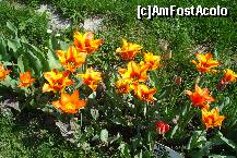 [P04]  -- <small>// FĂRĂ DESCRIERE</small> » foto by ileanaxperta*
 - 
<span class="allrVoted glyphicon glyphicon-heart hidden" id="av195527"></span>
<a class="m-l-10 hidden" id="sv195527" onclick="voting_Foto_DelVot(,195527,3511)" role="button">șterge vot <span class="glyphicon glyphicon-remove"></span></a>
<a id="v9195527" class=" c-red"  onclick="voting_Foto_SetVot(195527)" role="button"><span class="glyphicon glyphicon-heart-empty"></span> <b>LIKE</b> = Votează poza</a> <img class="hidden"  id="f195527W9" src="/imagini/loader.gif" border="0" /><span class="AjErrMes hidden" id="e195527ErM"></span>