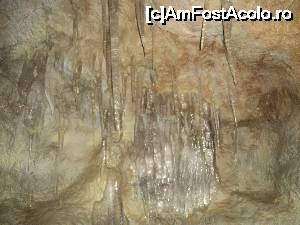 [P36] “La bulivar birjar, la bulivar”, asa cum ziceau bucurestenii anilor ’40 :) Muzeul Antipa. Pestera artificiala.  » foto by vega06
 - 
<span class="allrVoted glyphicon glyphicon-heart hidden" id="av694840"></span>
<a class="m-l-10 hidden" id="sv694840" onclick="voting_Foto_DelVot(,694840,3511)" role="button">șterge vot <span class="glyphicon glyphicon-remove"></span></a>
<a id="v9694840" class=" c-red"  onclick="voting_Foto_SetVot(694840)" role="button"><span class="glyphicon glyphicon-heart-empty"></span> <b>LIKE</b> = Votează poza</a> <img class="hidden"  id="f694840W9" src="/imagini/loader.gif" border="0" /><span class="AjErrMes hidden" id="e694840ErM"></span>