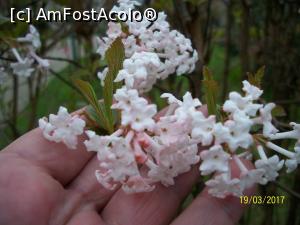 [P07] Mmmmmm!!! Dar nu era liliac.  » foto by cristina47*
 - 
<span class="allrVoted glyphicon glyphicon-heart hidden" id="av842035"></span>
<a class="m-l-10 hidden" id="sv842035" onclick="voting_Foto_DelVot(,842035,3511)" role="button">șterge vot <span class="glyphicon glyphicon-remove"></span></a>
<a id="v9842035" class=" c-red"  onclick="voting_Foto_SetVot(842035)" role="button"><span class="glyphicon glyphicon-heart-empty"></span> <b>LIKE</b> = Votează poza</a> <img class="hidden"  id="f842035W9" src="/imagini/loader.gif" border="0" /><span class="AjErrMes hidden" id="e842035ErM"></span>