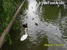 [P13]  -- <small>// FĂRĂ DESCRIERE</small> » foto by adryana
 - 
<span class="allrVoted glyphicon glyphicon-heart hidden" id="av204020"></span>
<a class="m-l-10 hidden" id="sv204020" onclick="voting_Foto_DelVot(,204020,3511)" role="button">șterge vot <span class="glyphicon glyphicon-remove"></span></a>
<a id="v9204020" class=" c-red"  onclick="voting_Foto_SetVot(204020)" role="button"><span class="glyphicon glyphicon-heart-empty"></span> <b>LIKE</b> = Votează poza</a> <img class="hidden"  id="f204020W9" src="/imagini/loader.gif" border="0" /><span class="AjErrMes hidden" id="e204020ErM"></span>