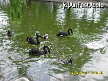 [P16] absolut superbe » foto by adryana
 - 
<span class="allrVoted glyphicon glyphicon-heart hidden" id="av204023"></span>
<a class="m-l-10 hidden" id="sv204023" onclick="voting_Foto_DelVot(,204023,3511)" role="button">șterge vot <span class="glyphicon glyphicon-remove"></span></a>
<a id="v9204023" class=" c-red"  onclick="voting_Foto_SetVot(204023)" role="button"><span class="glyphicon glyphicon-heart-empty"></span> <b>LIKE</b> = Votează poza</a> <img class="hidden"  id="f204023W9" src="/imagini/loader.gif" border="0" /><span class="AjErrMes hidden" id="e204023ErM"></span>