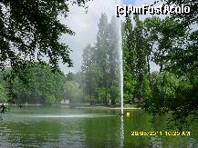 [P03]  -- <small>// FĂRĂ DESCRIERE</small> » foto by adryana
 - 
<span class="allrVoted glyphicon glyphicon-heart hidden" id="av204010"></span>
<a class="m-l-10 hidden" id="sv204010" onclick="voting_Foto_DelVot(,204010,3511)" role="button">șterge vot <span class="glyphicon glyphicon-remove"></span></a>
<a id="v9204010" class=" c-red"  onclick="voting_Foto_SetVot(204010)" role="button"><span class="glyphicon glyphicon-heart-empty"></span> <b>LIKE</b> = Votează poza</a> <img class="hidden"  id="f204010W9" src="/imagini/loader.gif" border="0" /><span class="AjErrMes hidden" id="e204010ErM"></span>