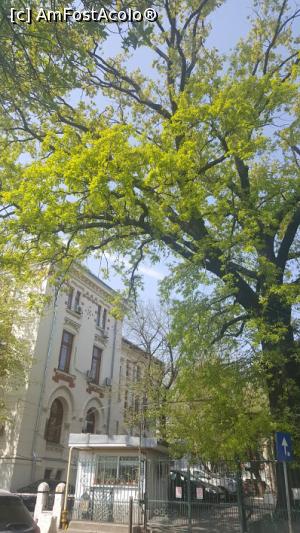 [P12] Stejarul de langa poarta auto » foto by ultrasro
 - 
<span class="allrVoted glyphicon glyphicon-heart hidden" id="av1063397"></span>
<a class="m-l-10 hidden" id="sv1063397" onclick="voting_Foto_DelVot(,1063397,3511)" role="button">șterge vot <span class="glyphicon glyphicon-remove"></span></a>
<a id="v91063397" class=" c-red"  onclick="voting_Foto_SetVot(1063397)" role="button"><span class="glyphicon glyphicon-heart-empty"></span> <b>LIKE</b> = Votează poza</a> <img class="hidden"  id="f1063397W9" src="/imagini/loader.gif" border="0" /><span class="AjErrMes hidden" id="e1063397ErM"></span>