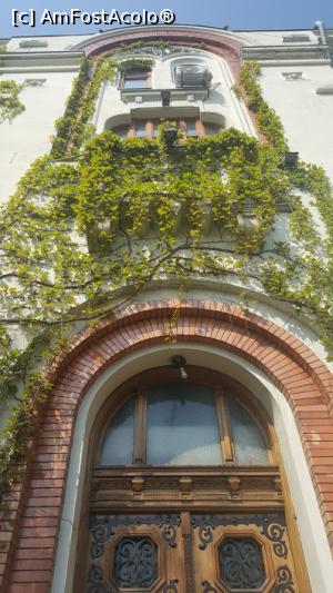 [P05] Balconul de la prima intrare, acoperit de iederă » foto by ultrasro
 - 
<span class="allrVoted glyphicon glyphicon-heart hidden" id="av1063390"></span>
<a class="m-l-10 hidden" id="sv1063390" onclick="voting_Foto_DelVot(,1063390,3511)" role="button">șterge vot <span class="glyphicon glyphicon-remove"></span></a>
<a id="v91063390" class=" c-red"  onclick="voting_Foto_SetVot(1063390)" role="button"><span class="glyphicon glyphicon-heart-empty"></span> <b>LIKE</b> = Votează poza</a> <img class="hidden"  id="f1063390W9" src="/imagini/loader.gif" border="0" /><span class="AjErrMes hidden" id="e1063390ErM"></span>