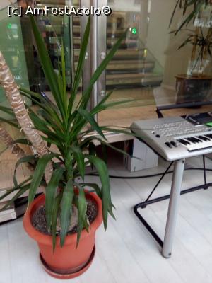 [P32] Magazinul Muzica - Calea Victoriei, numărul 41 – 43, București,  » foto by danaeldreny*
 - 
<span class="allrVoted glyphicon glyphicon-heart hidden" id="av858293"></span>
<a class="m-l-10 hidden" id="sv858293" onclick="voting_Foto_DelVot(,858293,3511)" role="button">șterge vot <span class="glyphicon glyphicon-remove"></span></a>
<a id="v9858293" class=" c-red"  onclick="voting_Foto_SetVot(858293)" role="button"><span class="glyphicon glyphicon-heart-empty"></span> <b>LIKE</b> = Votează poza</a> <img class="hidden"  id="f858293W9" src="/imagini/loader.gif" border="0" /><span class="AjErrMes hidden" id="e858293ErM"></span>