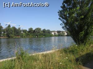 [P15] Bălării la ele acasă » foto by Michi
 - 
<span class="allrVoted glyphicon glyphicon-heart hidden" id="av1242719"></span>
<a class="m-l-10 hidden" id="sv1242719" onclick="voting_Foto_DelVot(,1242719,3511)" role="button">șterge vot <span class="glyphicon glyphicon-remove"></span></a>
<a id="v91242719" class=" c-red"  onclick="voting_Foto_SetVot(1242719)" role="button"><span class="glyphicon glyphicon-heart-empty"></span> <b>LIKE</b> = Votează poza</a> <img class="hidden"  id="f1242719W9" src="/imagini/loader.gif" border="0" /><span class="AjErrMes hidden" id="e1242719ErM"></span>