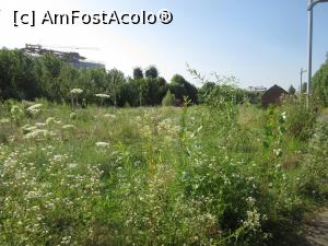 [P20] Cum să intri cu copilul la locul de joacă? » foto by Michi
 - 
<span class="allrVoted glyphicon glyphicon-heart hidden" id="av1242724"></span>
<a class="m-l-10 hidden" id="sv1242724" onclick="voting_Foto_DelVot(,1242724,3511)" role="button">șterge vot <span class="glyphicon glyphicon-remove"></span></a>
<a id="v91242724" class=" c-red"  onclick="voting_Foto_SetVot(1242724)" role="button"><span class="glyphicon glyphicon-heart-empty"></span> <b>LIKE</b> = Votează poza</a> <img class="hidden"  id="f1242724W9" src="/imagini/loader.gif" border="0" /><span class="AjErrMes hidden" id="e1242724ErM"></span>