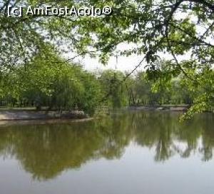 [P03] Frumuseţea naturii » foto by Michi
 - 
<span class="allrVoted glyphicon glyphicon-heart hidden" id="av1242707"></span>
<a class="m-l-10 hidden" id="sv1242707" onclick="voting_Foto_DelVot(,1242707,3511)" role="button">șterge vot <span class="glyphicon glyphicon-remove"></span></a>
<a id="v91242707" class=" c-red"  onclick="voting_Foto_SetVot(1242707)" role="button"><span class="glyphicon glyphicon-heart-empty"></span> <b>LIKE</b> = Votează poza</a> <img class="hidden"  id="f1242707W9" src="/imagini/loader.gif" border="0" /><span class="AjErrMes hidden" id="e1242707ErM"></span>