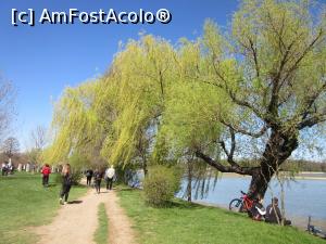 [P14] Primăvara &icirc;n Herăstrău » foto by Michi
 - 
<span class="allrVoted glyphicon glyphicon-heart hidden" id="av1259367"></span>
<a class="m-l-10 hidden" id="sv1259367" onclick="voting_Foto_DelVot(,1259367,3511)" role="button">șterge vot <span class="glyphicon glyphicon-remove"></span></a>
<a id="v91259367" class=" c-red"  onclick="voting_Foto_SetVot(1259367)" role="button"><span class="glyphicon glyphicon-heart-empty"></span> <b>LIKE</b> = Votează poza</a> <img class="hidden"  id="f1259367W9" src="/imagini/loader.gif" border="0" /><span class="AjErrMes hidden" id="e1259367ErM"></span>