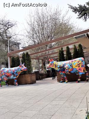 [P27] Două vaci colorate &icirc;n faţă la Vacamuu » foto by Michi
 - 
<span class="allrVoted glyphicon glyphicon-heart hidden" id="av1290057"></span>
<a class="m-l-10 hidden" id="sv1290057" onclick="voting_Foto_DelVot(,1290057,3511)" role="button">șterge vot <span class="glyphicon glyphicon-remove"></span></a>
<a id="v91290057" class=" c-red"  onclick="voting_Foto_SetVot(1290057)" role="button"><span class="glyphicon glyphicon-heart-empty"></span> <b>LIKE</b> = Votează poza</a> <img class="hidden"  id="f1290057W9" src="/imagini/loader.gif" border="0" /><span class="AjErrMes hidden" id="e1290057ErM"></span>