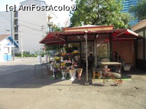 [P40] ....şi un buchet de flori » foto by Michi
 - 
<span class="allrVoted glyphicon glyphicon-heart hidden" id="av1290070"></span>
<a class="m-l-10 hidden" id="sv1290070" onclick="voting_Foto_DelVot(,1290070,3511)" role="button">șterge vot <span class="glyphicon glyphicon-remove"></span></a>
<a id="v91290070" class=" c-red"  onclick="voting_Foto_SetVot(1290070)" role="button"><span class="glyphicon glyphicon-heart-empty"></span> <b>LIKE</b> = Votează poza</a> <img class="hidden"  id="f1290070W9" src="/imagini/loader.gif" border="0" /><span class="AjErrMes hidden" id="e1290070ErM"></span>