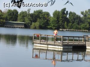 [P31] Amenajare pe lacul Floreasca » foto by Michi
 - 
<span class="allrVoted glyphicon glyphicon-heart hidden" id="av1291003"></span>
<a class="m-l-10 hidden" id="sv1291003" onclick="voting_Foto_DelVot(,1291003,3511)" role="button">șterge vot <span class="glyphicon glyphicon-remove"></span></a>
<a id="v91291003" class=" c-red"  onclick="voting_Foto_SetVot(1291003)" role="button"><span class="glyphicon glyphicon-heart-empty"></span> <b>LIKE</b> = Votează poza</a> <img class="hidden"  id="f1291003W9" src="/imagini/loader.gif" border="0" /><span class="AjErrMes hidden" id="e1291003ErM"></span>