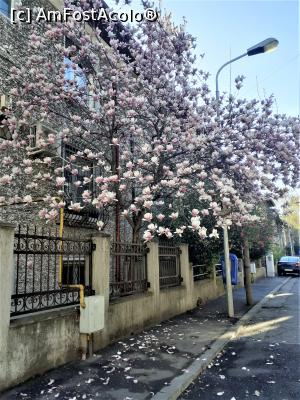 [P10] Cartier Floreasca,str cd. Bulugea » foto by Michi
 - 
<span class="allrVoted glyphicon glyphicon-heart hidden" id="av1357880"></span>
<a class="m-l-10 hidden" id="sv1357880" onclick="voting_Foto_DelVot(,1357880,3511)" role="button">șterge vot <span class="glyphicon glyphicon-remove"></span></a>
<a id="v91357880" class=" c-red"  onclick="voting_Foto_SetVot(1357880)" role="button"><span class="glyphicon glyphicon-heart-empty"></span> <b>LIKE</b> = Votează poza</a> <img class="hidden"  id="f1357880W9" src="/imagini/loader.gif" border="0" /><span class="AjErrMes hidden" id="e1357880ErM"></span>