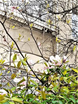 [P19] Cartier Floreasca- str. Mozart » foto by Michi
 - 
<span class="allrVoted glyphicon glyphicon-heart hidden" id="av1357889"></span>
<a class="m-l-10 hidden" id="sv1357889" onclick="voting_Foto_DelVot(,1357889,3511)" role="button">șterge vot <span class="glyphicon glyphicon-remove"></span></a>
<a id="v91357889" class=" c-red"  onclick="voting_Foto_SetVot(1357889)" role="button"><span class="glyphicon glyphicon-heart-empty"></span> <b>LIKE</b> = Votează poza</a> <img class="hidden"  id="f1357889W9" src="/imagini/loader.gif" border="0" /><span class="AjErrMes hidden" id="e1357889ErM"></span>