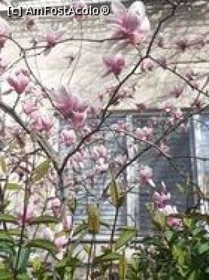 [P02] Cartier Floreasca, str Puţul lui Zamfir » foto by Michi
 - 
<span class="allrVoted glyphicon glyphicon-heart hidden" id="av1357872"></span>
<a class="m-l-10 hidden" id="sv1357872" onclick="voting_Foto_DelVot(,1357872,3511)" role="button">șterge vot <span class="glyphicon glyphicon-remove"></span></a>
<a id="v91357872" class=" c-red"  onclick="voting_Foto_SetVot(1357872)" role="button"><span class="glyphicon glyphicon-heart-empty"></span> <b>LIKE</b> = Votează poza</a> <img class="hidden"  id="f1357872W9" src="/imagini/loader.gif" border="0" /><span class="AjErrMes hidden" id="e1357872ErM"></span>