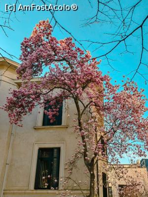 [P26] Blogul Dianei Robu » foto by Michi <span class="label label-default labelC_thin small">NEVOTABILĂ</span>