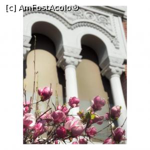 [P31] Str Lascăr Catargiu 40 » foto by Michi <span class="label label-default labelC_thin small">NEVOTABILĂ</span>