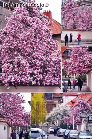 [P32] str. Mahatmi Ghandi 8 » foto by Michi <span class="label label-default labelC_thin small">NEVOTABILĂ</span>