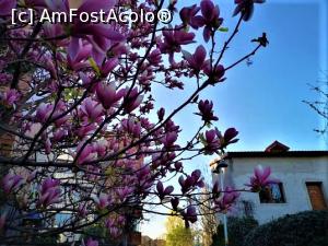 [P35] Str Barbu Delavrancea » foto by Michi <span class="label label-default labelC_thin small">NEVOTABILĂ</span>