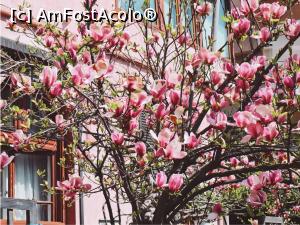 [P37] Str. Barbu Delavrancea 61 » foto by Michi <span class="label label-default labelC_thin small">NEVOTABILĂ</span>