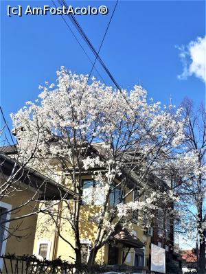 [P08] Cartier Floreasca, str Drobotă » foto by Michi
 - 
<span class="allrVoted glyphicon glyphicon-heart hidden" id="av1357878"></span>
<a class="m-l-10 hidden" id="sv1357878" onclick="voting_Foto_DelVot(,1357878,3511)" role="button">șterge vot <span class="glyphicon glyphicon-remove"></span></a>
<a id="v91357878" class=" c-red"  onclick="voting_Foto_SetVot(1357878)" role="button"><span class="glyphicon glyphicon-heart-empty"></span> <b>LIKE</b> = Votează poza</a> <img class="hidden"  id="f1357878W9" src="/imagini/loader.gif" border="0" /><span class="AjErrMes hidden" id="e1357878ErM"></span>