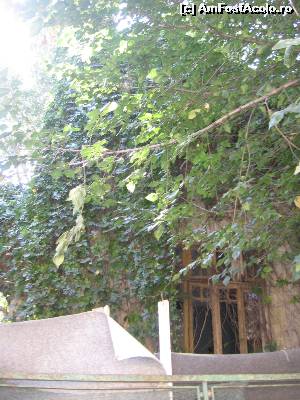 [P23] O singură fereastră este deschisă spre lume » foto by Michi
 - 
<span class="allrVoted glyphicon glyphicon-heart hidden" id="av559013"></span>
<a class="m-l-10 hidden" id="sv559013" onclick="voting_Foto_DelVot(,559013,3511)" role="button">șterge vot <span class="glyphicon glyphicon-remove"></span></a>
<a id="v9559013" class=" c-red"  onclick="voting_Foto_SetVot(559013)" role="button"><span class="glyphicon glyphicon-heart-empty"></span> <b>LIKE</b> = Votează poza</a> <img class="hidden"  id="f559013W9" src="/imagini/loader.gif" border="0" /><span class="AjErrMes hidden" id="e559013ErM"></span>