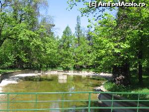 [P09] Lacul din grădina botanică » foto by Michi
 - 
<span class="allrVoted glyphicon glyphicon-heart hidden" id="av558999"></span>
<a class="m-l-10 hidden" id="sv558999" onclick="voting_Foto_DelVot(,558999,3511)" role="button">șterge vot <span class="glyphicon glyphicon-remove"></span></a>
<a id="v9558999" class=" c-red"  onclick="voting_Foto_SetVot(558999)" role="button"><span class="glyphicon glyphicon-heart-empty"></span> <b>LIKE</b> = Votează poza</a> <img class="hidden"  id="f558999W9" src="/imagini/loader.gif" border="0" /><span class="AjErrMes hidden" id="e558999ErM"></span>