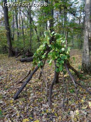 [P11] &bdquo;Construcții&rdquo; forestiere. » foto by tata123 🔱
 - 
<span class="allrVoted glyphicon glyphicon-heart hidden" id="av1264390"></span>
<a class="m-l-10 hidden" id="sv1264390" onclick="voting_Foto_DelVot(,1264390,3511)" role="button">șterge vot <span class="glyphicon glyphicon-remove"></span></a>
<a id="v91264390" class=" c-red"  onclick="voting_Foto_SetVot(1264390)" role="button"><span class="glyphicon glyphicon-heart-empty"></span> <b>LIKE</b> = Votează poza</a> <img class="hidden"  id="f1264390W9" src="/imagini/loader.gif" border="0" /><span class="AjErrMes hidden" id="e1264390ErM"></span>