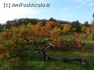 [P20] &Icirc;n parcul din fața restaurantului Casa Albă-Băneasa. » foto by tata123 🔱
 - 
<span class="allrVoted glyphicon glyphicon-heart hidden" id="av1264399"></span>
<a class="m-l-10 hidden" id="sv1264399" onclick="voting_Foto_DelVot(,1264399,3511)" role="button">șterge vot <span class="glyphicon glyphicon-remove"></span></a>
<a id="v91264399" class=" c-red"  onclick="voting_Foto_SetVot(1264399)" role="button"><span class="glyphicon glyphicon-heart-empty"></span> <b>LIKE</b> = Votează poza</a> <img class="hidden"  id="f1264399W9" src="/imagini/loader.gif" border="0" /><span class="AjErrMes hidden" id="e1264399ErM"></span>