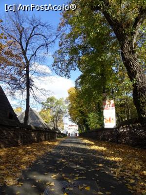 [P17] Aleee de acces către Palatul Elisabeta. » foto by tata123 🔱
 - 
<span class="allrVoted glyphicon glyphicon-heart hidden" id="av1268432"></span>
<a class="m-l-10 hidden" id="sv1268432" onclick="voting_Foto_DelVot(,1268432,3511)" role="button">șterge vot <span class="glyphicon glyphicon-remove"></span></a>
<a id="v91268432" class=" c-red"  onclick="voting_Foto_SetVot(1268432)" role="button"><span class="glyphicon glyphicon-heart-empty"></span> <b>LIKE</b> = Votează poza</a> <img class="hidden"  id="f1268432W9" src="/imagini/loader.gif" border="0" /><span class="AjErrMes hidden" id="e1268432ErM"></span>