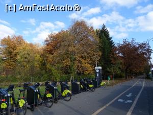 [P18] Pe l&acirc;ngă Parcul Regele Mihai I (fost Herăstrău). » foto by tata123 🔱
 - 
<span class="allrVoted glyphicon glyphicon-heart hidden" id="av1268433"></span>
<a class="m-l-10 hidden" id="sv1268433" onclick="voting_Foto_DelVot(,1268433,3511)" role="button">șterge vot <span class="glyphicon glyphicon-remove"></span></a>
<a id="v91268433" class=" c-red"  onclick="voting_Foto_SetVot(1268433)" role="button"><span class="glyphicon glyphicon-heart-empty"></span> <b>LIKE</b> = Votează poza</a> <img class="hidden"  id="f1268433W9" src="/imagini/loader.gif" border="0" /><span class="AjErrMes hidden" id="e1268433ErM"></span>