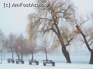 [P21] Iarna &icirc;n Herăstrău - bate la ușă. » foto by tata123 🔱
 - 
<span class="allrVoted glyphicon glyphicon-heart hidden" id="av1268436"></span>
<a class="m-l-10 hidden" id="sv1268436" onclick="voting_Foto_DelVot(,1268436,3511)" role="button">șterge vot <span class="glyphicon glyphicon-remove"></span></a>
<a id="v91268436" class=" c-red"  onclick="voting_Foto_SetVot(1268436)" role="button"><span class="glyphicon glyphicon-heart-empty"></span> <b>LIKE</b> = Votează poza</a> <img class="hidden"  id="f1268436W9" src="/imagini/loader.gif" border="0" /><span class="AjErrMes hidden" id="e1268436ErM"></span>