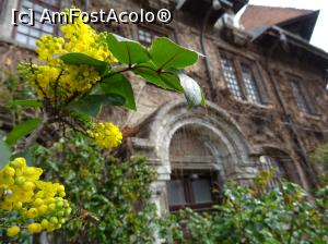 [P23] Vile, flori... » foto by tata123 🔱
 - 
<span class="allrVoted glyphicon glyphicon-heart hidden" id="av1290761"></span>
<a class="m-l-10 hidden" id="sv1290761" onclick="voting_Foto_DelVot(,1290761,3511)" role="button">șterge vot <span class="glyphicon glyphicon-remove"></span></a>
<a id="v91290761" class=" c-red"  onclick="voting_Foto_SetVot(1290761)" role="button"><span class="glyphicon glyphicon-heart-empty"></span> <b>LIKE</b> = Votează poza</a> <img class="hidden"  id="f1290761W9" src="/imagini/loader.gif" border="0" /><span class="AjErrMes hidden" id="e1290761ErM"></span>