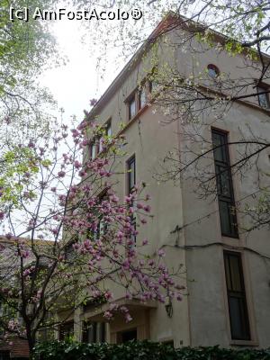 [P07] Clădiri și flori. » foto by tata123 🔱
 - 
<span class="allrVoted glyphicon glyphicon-heart hidden" id="av1290745"></span>
<a class="m-l-10 hidden" id="sv1290745" onclick="voting_Foto_DelVot(,1290745,3511)" role="button">șterge vot <span class="glyphicon glyphicon-remove"></span></a>
<a id="v91290745" class=" c-red"  onclick="voting_Foto_SetVot(1290745)" role="button"><span class="glyphicon glyphicon-heart-empty"></span> <b>LIKE</b> = Votează poza</a> <img class="hidden"  id="f1290745W9" src="/imagini/loader.gif" border="0" /><span class="AjErrMes hidden" id="e1290745ErM"></span>