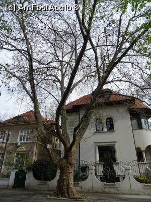 [P09] Un copac ocrotit. » foto by tata123 🔱
 - 
<span class="allrVoted glyphicon glyphicon-heart hidden" id="av1290747"></span>
<a class="m-l-10 hidden" id="sv1290747" onclick="voting_Foto_DelVot(,1290747,3511)" role="button">șterge vot <span class="glyphicon glyphicon-remove"></span></a>
<a id="v91290747" class=" c-red"  onclick="voting_Foto_SetVot(1290747)" role="button"><span class="glyphicon glyphicon-heart-empty"></span> <b>LIKE</b> = Votează poza</a> <img class="hidden"  id="f1290747W9" src="/imagini/loader.gif" border="0" /><span class="AjErrMes hidden" id="e1290747ErM"></span>