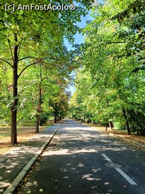 [P02] Alee cu arbori falnici. » foto by tata123 🔱
 - 
<span class="allrVoted glyphicon glyphicon-heart hidden" id="av1331466"></span>
<a class="m-l-10 hidden" id="sv1331466" onclick="voting_Foto_DelVot(,1331466,3511)" role="button">șterge vot <span class="glyphicon glyphicon-remove"></span></a>
<a id="v91331466" class=" c-red"  onclick="voting_Foto_SetVot(1331466)" role="button"><span class="glyphicon glyphicon-heart-empty"></span> <b>LIKE</b> = Votează poza</a> <img class="hidden"  id="f1331466W9" src="/imagini/loader.gif" border="0" /><span class="AjErrMes hidden" id="e1331466ErM"></span>