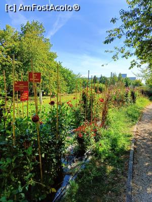 [P03] &Icirc;n Grădina botanică &bdquo;Ioan Todor&rdquo; din USAMV București - spațiu de cercetare. » foto by tata123 🔱
 - 
<span class="allrVoted glyphicon glyphicon-heart hidden" id="av1331467"></span>
<a class="m-l-10 hidden" id="sv1331467" onclick="voting_Foto_DelVot(,1331467,3511)" role="button">șterge vot <span class="glyphicon glyphicon-remove"></span></a>
<a id="v91331467" class=" c-red"  onclick="voting_Foto_SetVot(1331467)" role="button"><span class="glyphicon glyphicon-heart-empty"></span> <b>LIKE</b> = Votează poza</a> <img class="hidden"  id="f1331467W9" src="/imagini/loader.gif" border="0" /><span class="AjErrMes hidden" id="e1331467ErM"></span>